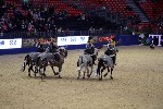 Quadrille - 00820